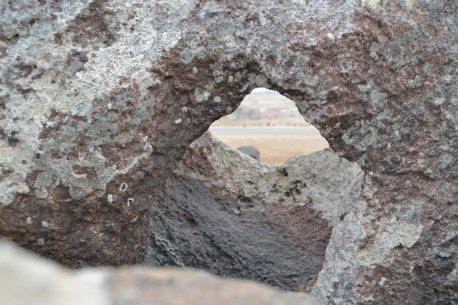 Cape Cross and Henties Bay Guided Tour SkeletonCoast Namibia - What the $202 price really covers