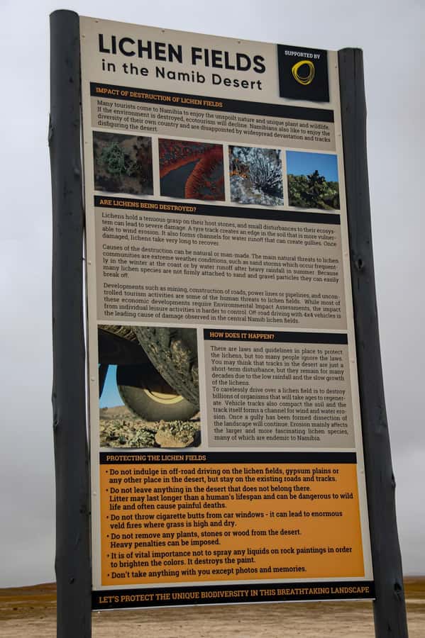 Cape Cross and Henties Bay Guided Tour SkeletonCoast Namibia - Who will enjoy this day most