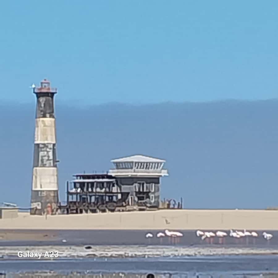 Catamaran Dolphin Cruise and Sandwich Harbour Tour - Starting in Swakopmund and heading to Walvis Bay