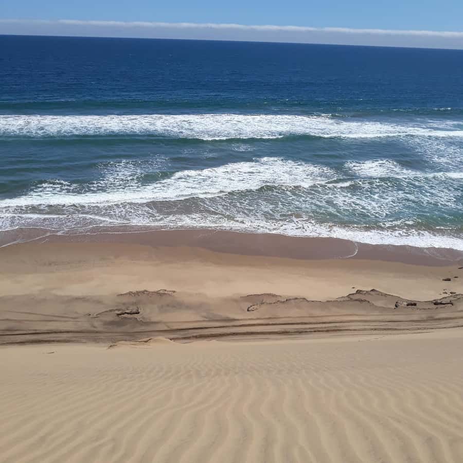 Catamaran Dolphin Cruise and Sandwich Harbour Tour - Wildlife in the desert and a quiet picnic stop
