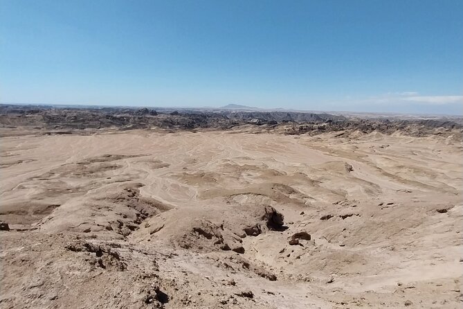 Cruise liner Special: Swakopmund and Namib Desert Highlights - Dune 7 and the return to Walvis Bay