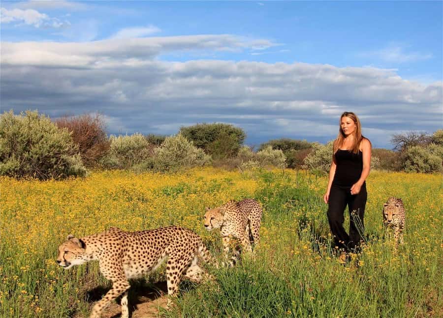 Discover the Roots of N/a'ankuse - A feeding Day Tour - From Windhoek to N/a’an ku sê at 08:30