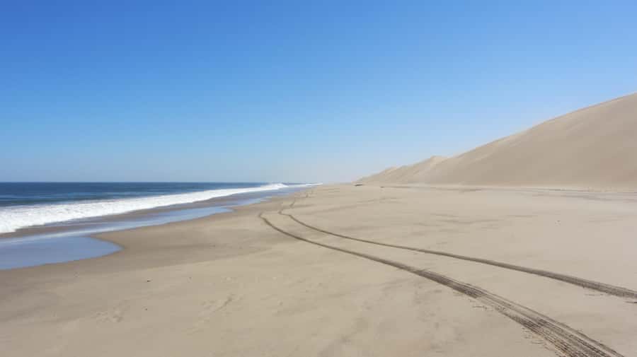 Dolphin & Seal cruise Sandwich harbour dune tour - Five things worth knowing before you book