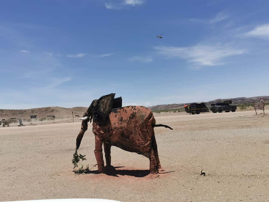 Elephant Adventure with Herson - a native of Damaraland - Giraffes and smaller animals along the way