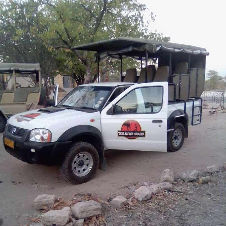 Etosha National Park: Full or Half-Day Game Drive - How the flexible route improves your chances