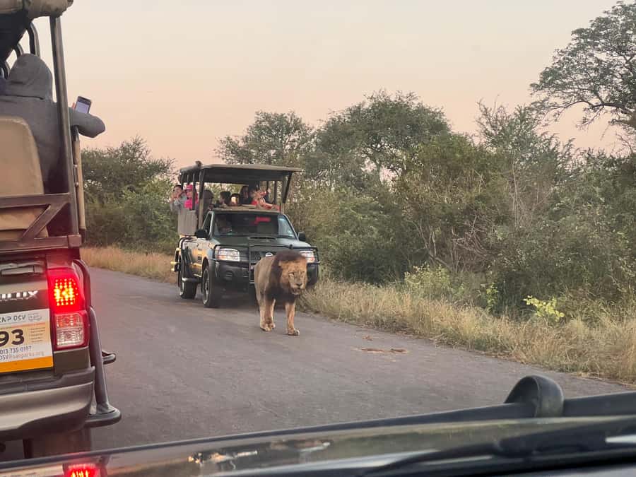 Etosha Private Safari Adventure (3 Days from Windhoek) - Why this Etosha trip makes sense in only three days