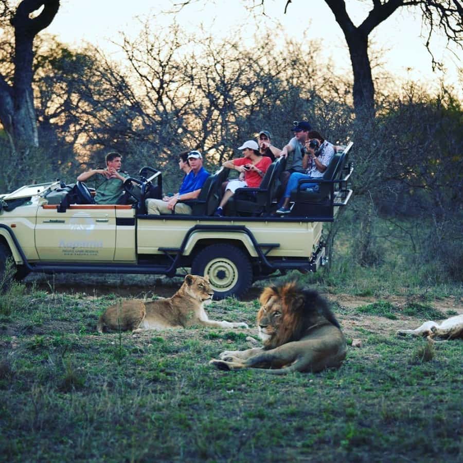 Etosha Private Safari Adventure (3 Days from Windhoek) - Day 3: One final morning inside Etosha