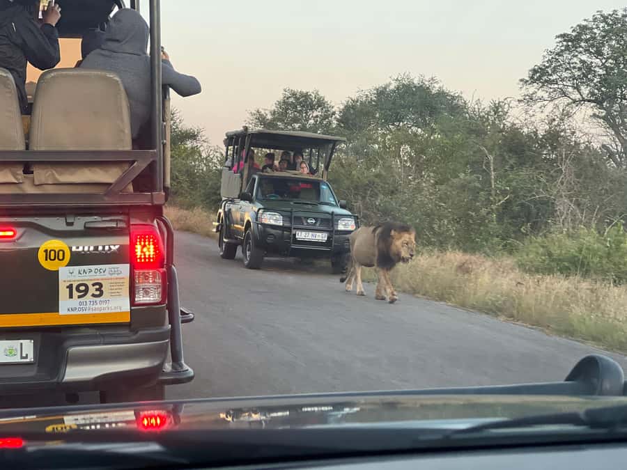 Etosha Private Safari Adventure (3 Days from Windhoek) - Booking details that matter