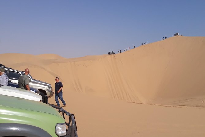 Exhilarating Sandwich Harbour 4x4: Guided Self drive experience - The big moment: climbing Sandwich Harbour’s dunes