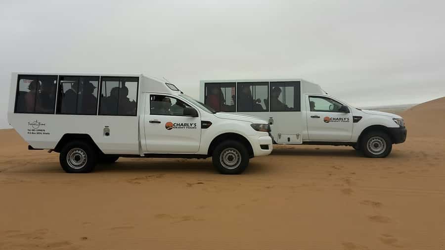 From Swakopmund: Living Dunes Experience - Why the coastal dunes are worth your time