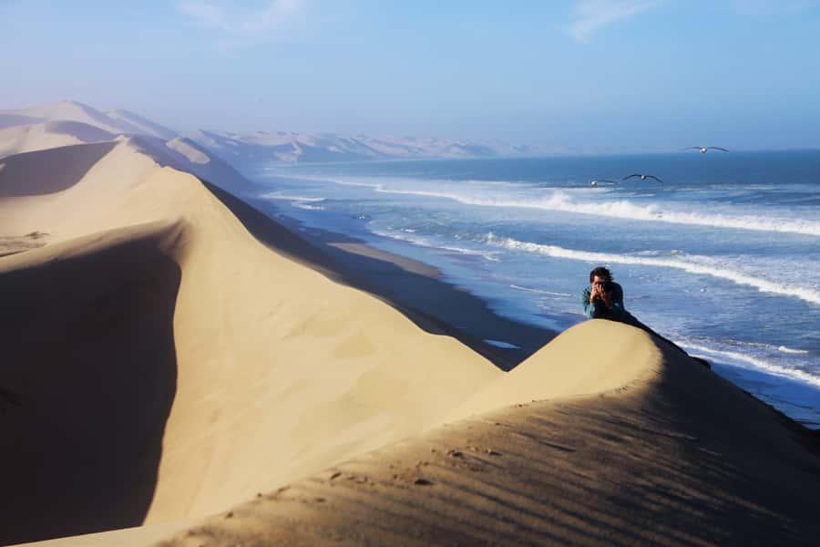 From Walvis Bay: Sandwich Harbor 4x4 Tour - Starting at Walvis Bay Waterfront