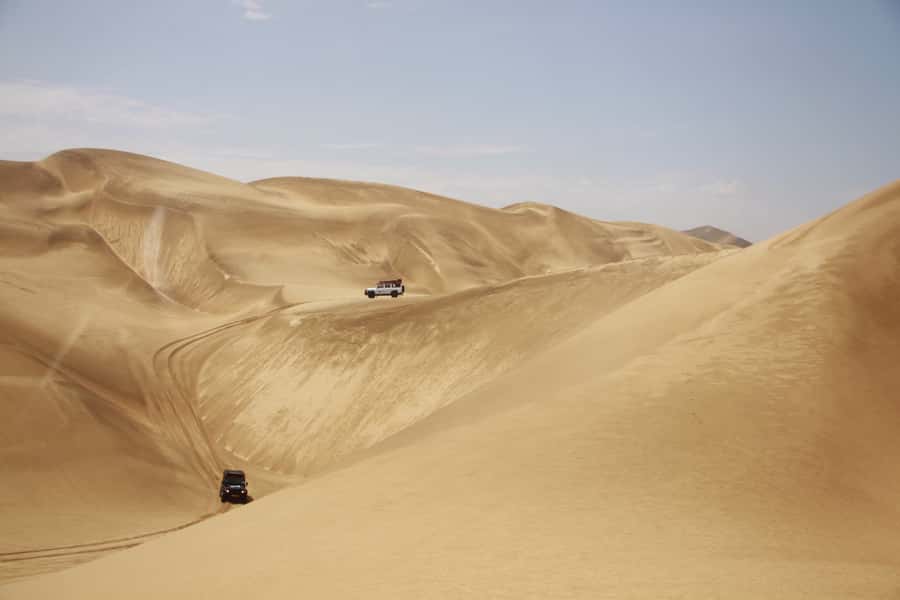 From Walvis Bay: Sandwich Harbor 4x4 Tour - Pink salt pans and coastal bird life