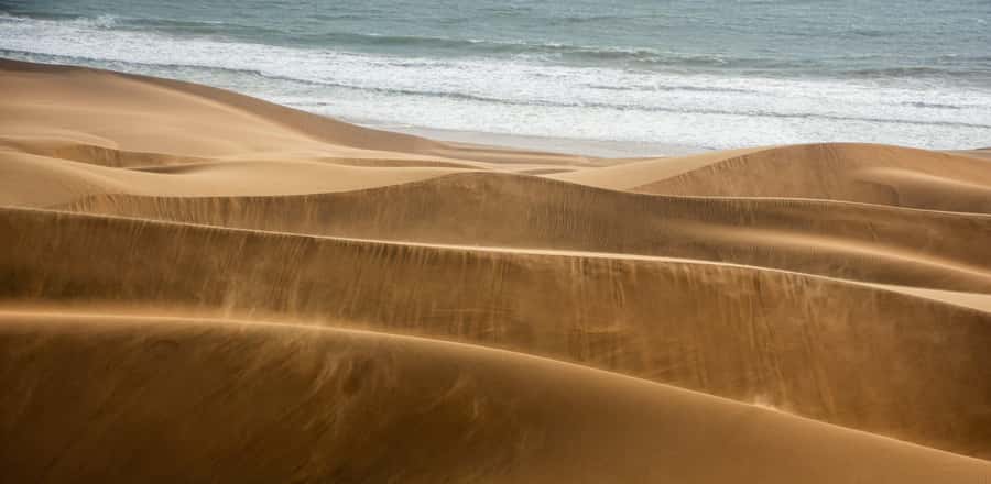 From Walvis Bay: Sandwich Harbour and Pelican Point Tour - What to bring for wind, sun, and photographs
