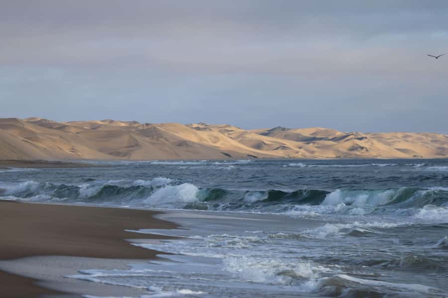 From Walvis Bay: Sandwich Harbour World Heritage Site - Starting at Walvis Bay Lagoon
