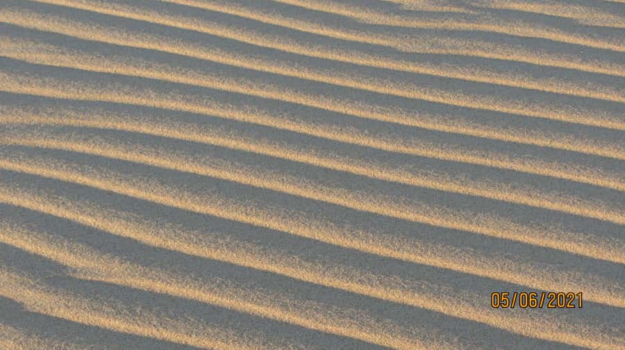 From Walvis Bay: Sandwich Harbour World Heritage Site - Is $153 a fair price?