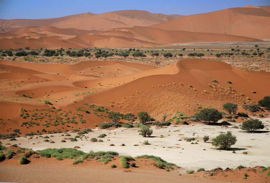 From Windhoek: Budget Sossusvlei Guided 2-Day Tour - Day 2: Sunrise from Dune 45