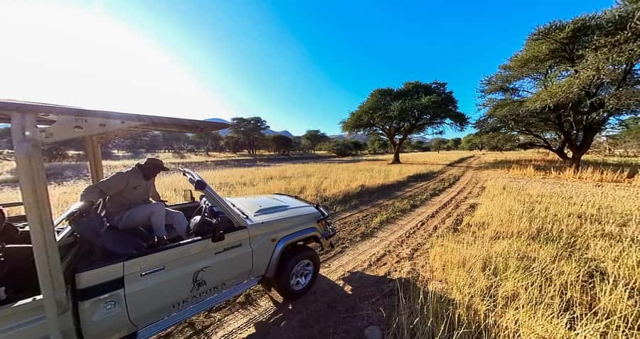 From Windhoek: Okapuka Safari Lodge Day Trip - Key points at a glance