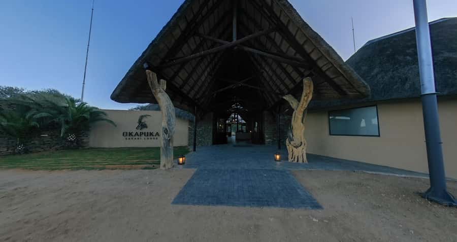 From Windhoek: Okapuka Safari Lodge Day Trip - A quick safari from Windhoek