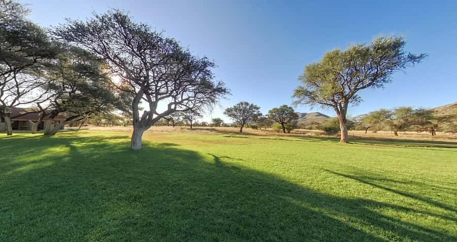 From Windhoek: Okapuka Safari Lodge Day Trip - Okapuka’s lawns, trees, and mountain setting