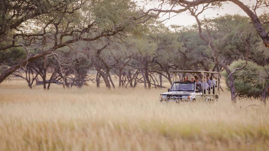 From Windhoek: Okapuka Safari Lodge Day Trip - Who will enjoy this day trip?
