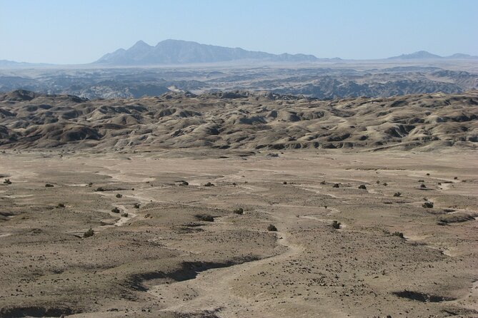 Full-Day Tour in Namib Desert from Swakopmund, Namibia - A picnic lunch makes the long outing easier