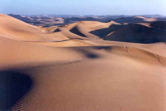 Full-Day Tour in Namib Desert from Swakopmund, Namibia - Who will get the most from this tour