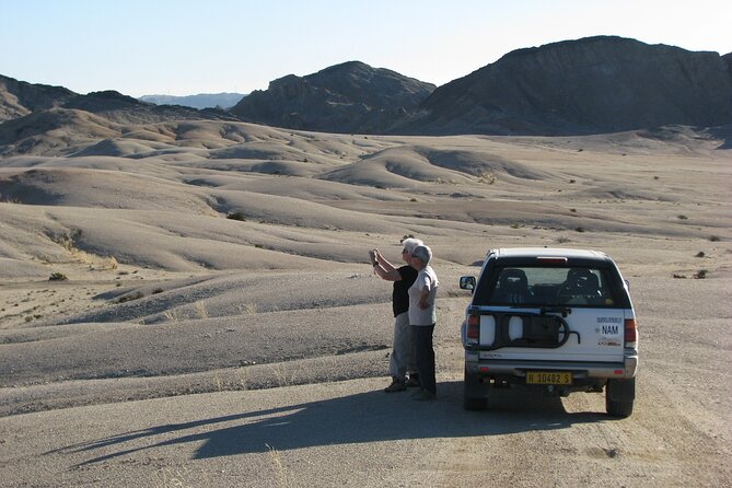 Full-Day Tour in Namib Desert from Swakopmund, Namibia - Welwitschia and the Namib’s quiet survivors