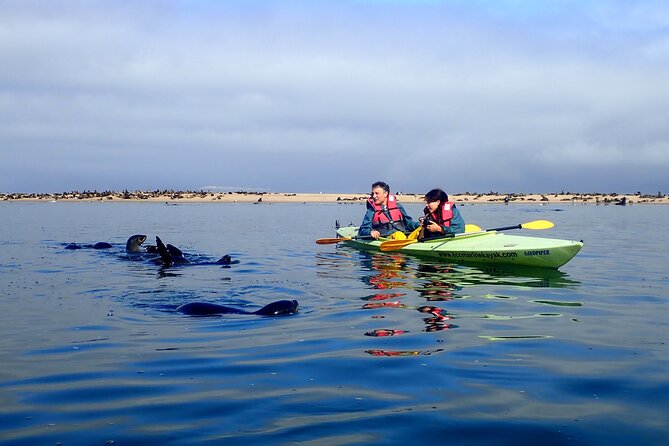 Half Day Original Seal Kayak Adventure, Pelican Point, Walvis Bay - The morning ride from Walvis Bay