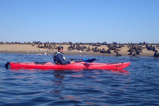 Half Day Original Seal Kayak Adventure, Pelican Point, Walvis Bay - Timing, group size, and the $72.12 price