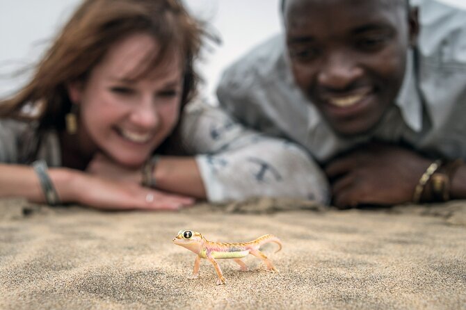 Half-Day Sandwich Harbour Tour from Walvis Bay with Lunch - Oysters and lunch on the sand