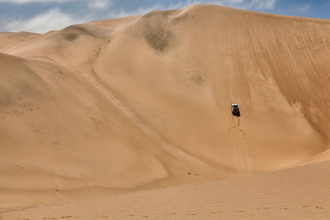 Half-Day Sandwich Harbour Tour from Walvis Bay with Lunch - Walvis Bay Lagoon and the flamingo stop