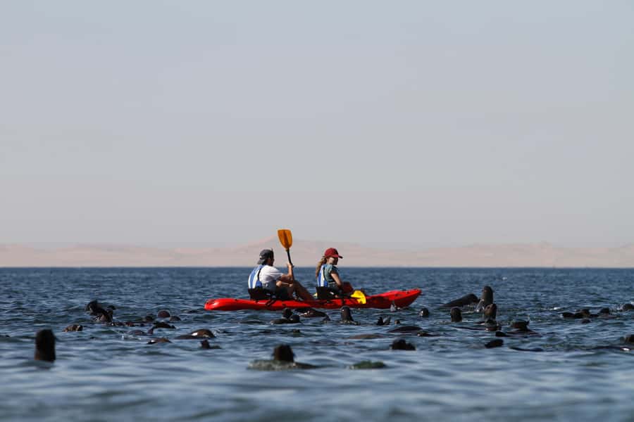 Kayak Dune Day - What makes this day special