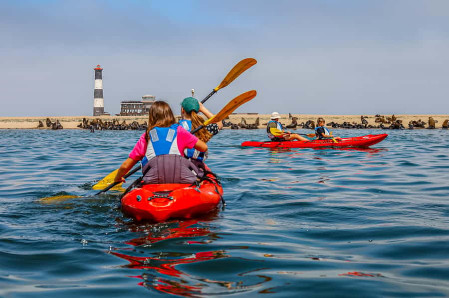 Kayak Dune Day - Who should book this experience?