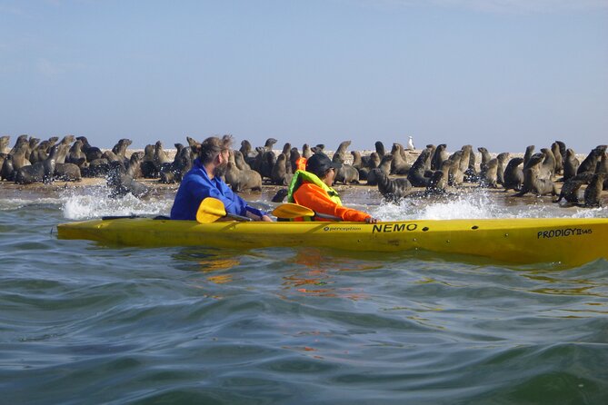 Kayak Sand Combo - Key points at a glance