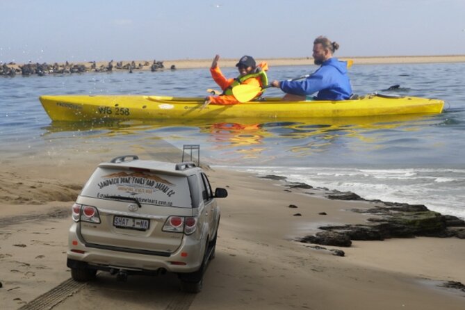 Kayak Sand Combo - Kayaking beside the sea lions at Pelican Point