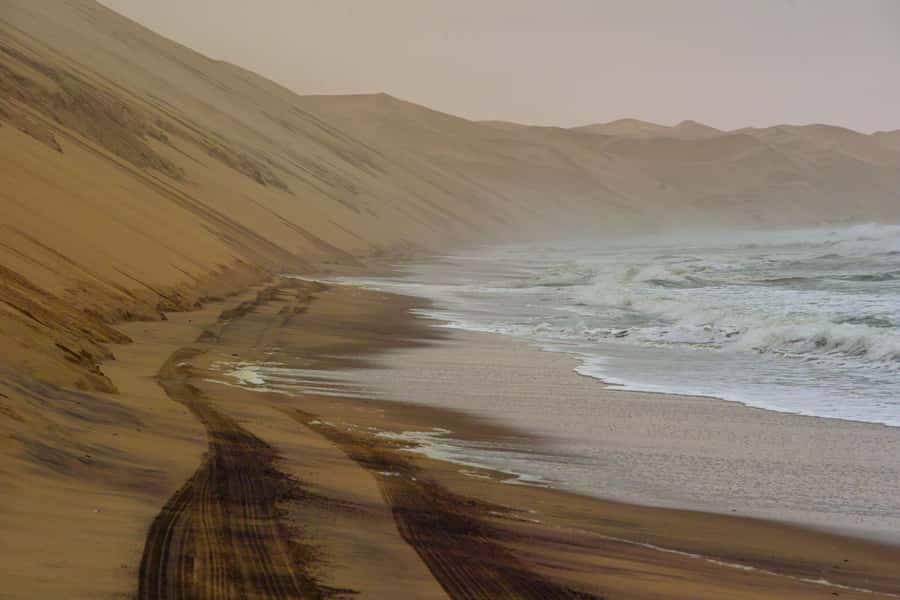 Kayaking and Sandwich Harbour Combo Tour - Crossing the Namib Desert to Sandwich Harbour