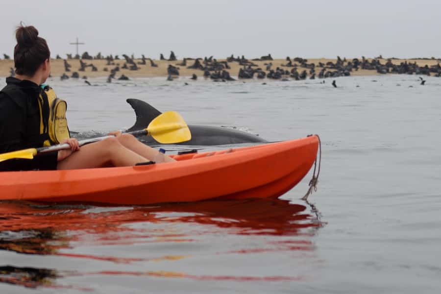 Kayaking and Sandwich Harbour Combo Tour - 07:45 at Walvis Bay Angling Club