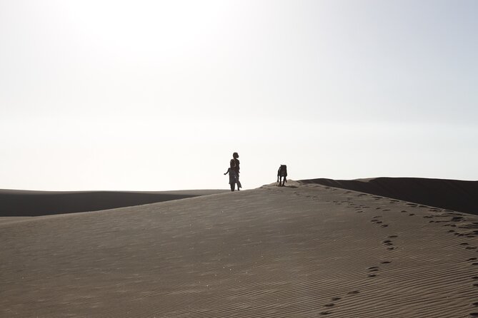 LIVING DESERT TOUR (Little 5 tour) - Passing Dune 7 on the way to Walvis Bay