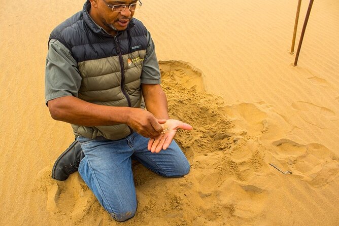 LIVING DESERT TOUR (Little 5 tour) - Flamingos and the Walvis Bay wetlands
