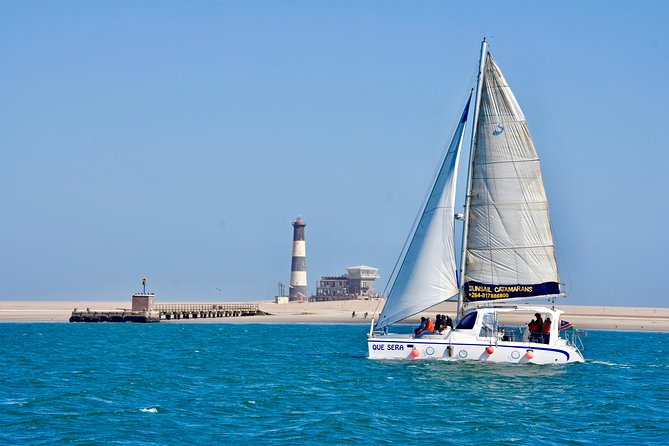Marine Dolphin Seal Cruise - Why This Cruise Works So Well in Walvis Bay