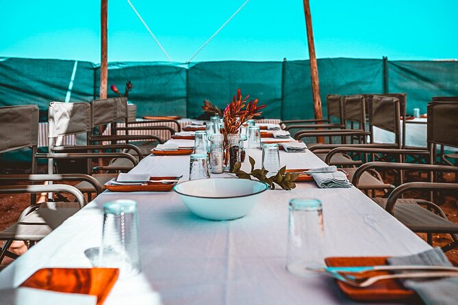 Mola Mola Day with Beach Braai Lunch - Starting at the Walvis Bay Waterfront