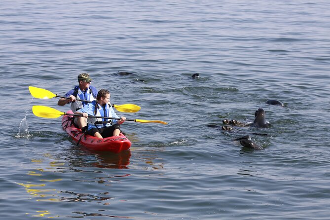 Mola Mola Kayaking Experience with a Licensed Guide - Starting at Walvis Bay Waterfront at 7:45 a.m.