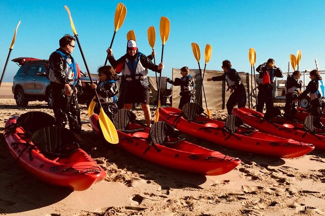 Mola Mola Kayaking Experience with a Licensed Guide - The planing catamaran to Pelican Point