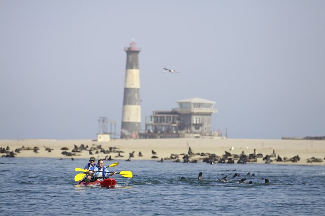 Mola Mola Kayaking Experience with a Licensed Guide - Brunch on the beach after paddling