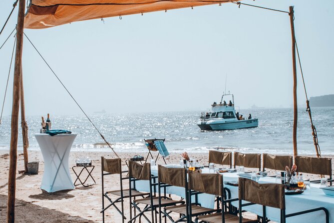 Mola Mola Marine Dolphin Cruise & Beach Braai on Pelican Point - Key points to know before booking