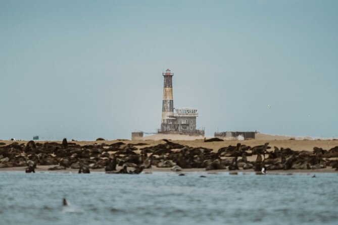Mola Mola Marine Dolphin Cruise & Beach Braai on Pelican Point - Is $181.14 a fair price?