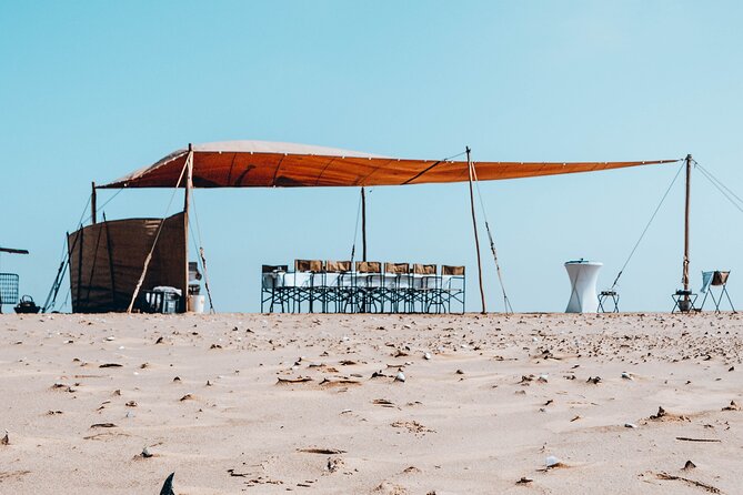 Mola Mola Marine Dolphin Cruise & Beach Braai on Pelican Point - Points to weigh before you reserve