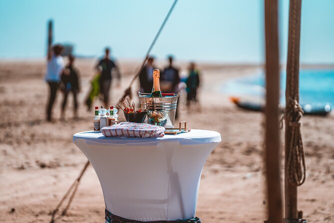 Mola Mola Marine Dolphin Cruise & Beach Braai on Pelican Point - Watching for seals, pelicans, dolphins, and whales
