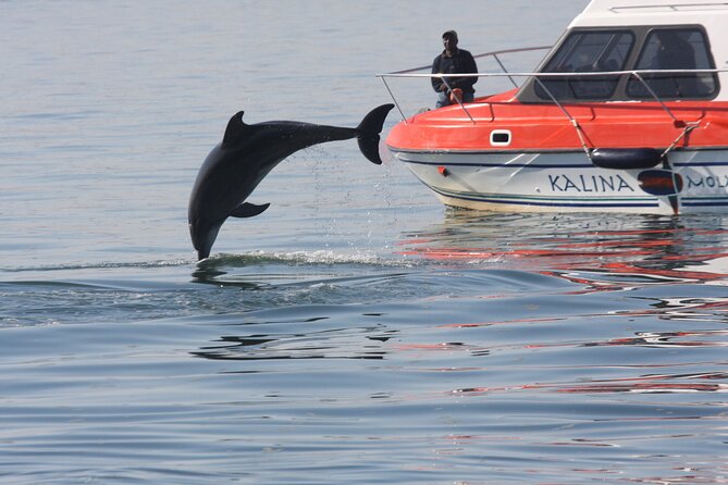 Mola Mola Marine Dolphin Cruise from the Walvis Bay Waterfront to Pelican Point - What the guides add to the ride