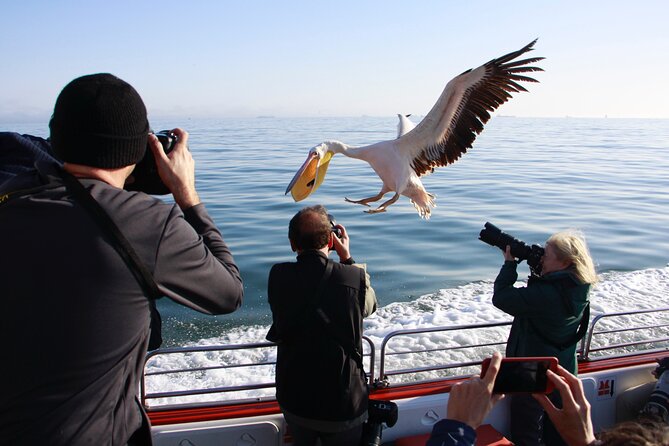 Mola Mola Marine Dune Experience - Is $256.39 a fair price?